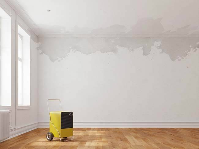 rénovation complète d'un appartement après un dégât des eaux